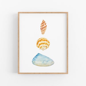 Sea Shells of the Gulf Coast of Florida. Watercolor Shell Art Print. Coquinas. Coastal Decor. Shells of Sanibel Island. Coastal Cottage Art.