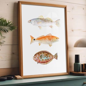 Texas Grand Slam! Watercolor 3 Fish Art Print. Speckled Trout! Redfish! Flounder!  Fisherman's Den.  Dad Fishing Gift.   Man Cave Decor.