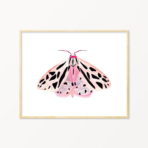 Pastel Watercolor Moth. Pink Winged Moth Art. Unique Nursery Decor. Colorful Moth Art Print. Little Girl Room Art. Spring Time Watercolor.