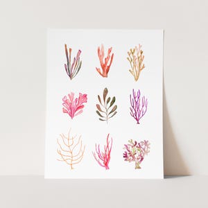 Coral & Seaweed Art Print. Watercolor Coral. Watercolor Sea Life. Sea Life Wall Art. Minimalist Coastal Art. Beach House Decor. Sea Side Art