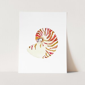 Nautilus Shell Art Print. Watercolor Sea Shell Painting. Serene Coastal Decor. Beach House Art Print. Ocean Art. Sea Life Decor. Sea Shells. image 2
