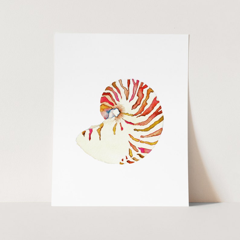Nautilus Shell Art Print. Watercolor Sea Shell Painting. Serene Coastal Decor. Beach House Art Print. Ocean Art. Sea Life Decor. Sea Shells. image 2