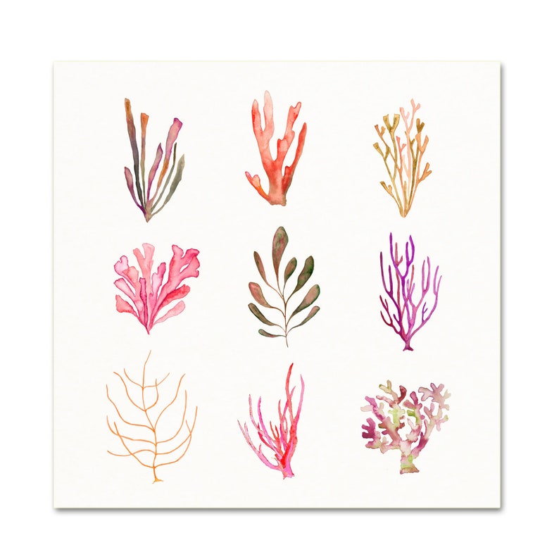 Coral & Seaweed Art Print. Watercolor Coral. Watercolor Sea Life. Sea Life Wall Art. Minimalist Coastal Art. Beach House Decor. Sea Side Art image 3