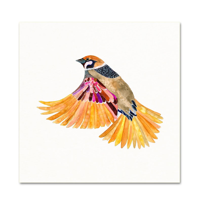 Bird in Flight Art Print. Sparrow Watercolor Art. Nature - Etsy