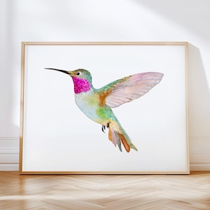Brightly Colored Watercolor Broad-Tailed Hummingbird Art Print, Green, Pink Hummingbird Framed Painting. Bird-lovers Wall Art Home Decor.