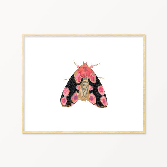 Moth Watercolor Art Print. Pink Moth Wall Art. Modern Nature | Etsy