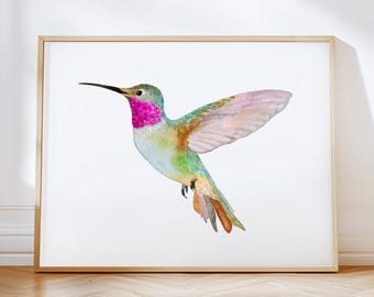 Bright Watercolor Broad-Tailed Hummingbird Wall Art. Hummingbirds Painting. Pink Green Art Print. Gift for Bird Lover Enthusiast.
