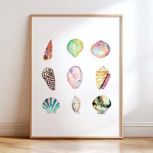 May include: Watercolor print of various seashells in a wooden frame. The shells are in shades of orange, green, pink, blue, and brown. The artwork is displayed on a white wall with a wooden floor.