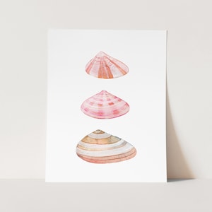 May include: Three watercolor paintings of seashells. The top shell is pink and white with brown stripes. The middle shell is pink with white stripes. The bottom shell is brown, white, and pink with stripes.