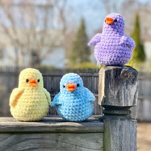 Sweet Spring Birds Amigurumi Crochet Pattern PATTERN ONLY Instant Download image 3