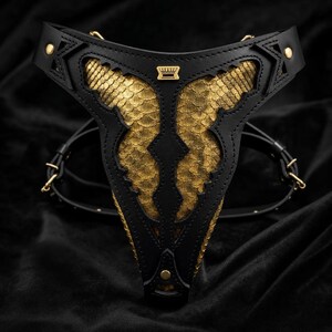 Puede incluir: Un arnés de cuero negro con detalles dorados. El arnés presenta un diseño central dorado en forma de escamas y está adornado con herrajes dorados. El diseño incluye una correa para el cuello y correas ajustables.