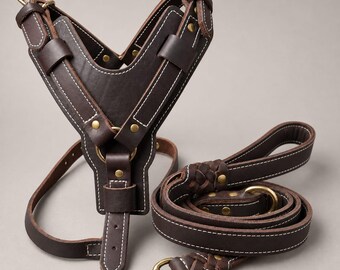 Set composto da pettorina e guinzaglio in pelle cuciti a mano, con imbottitura e fibbie in ottone, ideale come regalo per cani.