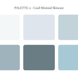 K&ouml;nnte beinhalten: Eine Farbpalette mit dem Titel "PALETTE 11 - Cool Minimal Skincare" mit sechs rechteckigen Bl&ouml;cken in Wei&szlig;-, Hellblau- und Graut&ouml;nen. Die Bl&ouml;cke sind in zwei Reihen zu je drei angeordnet.