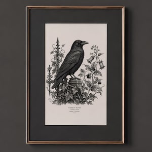 May include: Framed monochrome print featuring a Common Raven, botanical details, and text. The raven is perched on a stone post, with floral and foliage illustrations. The frame has a black mount and a gold-tone border.