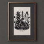 Curiosities