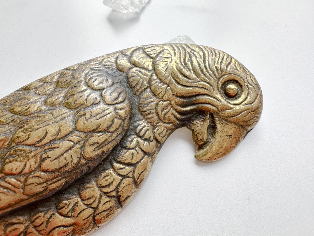 Macaw Letter Opener Vintage Brass Macaw Parrot Letter Opener Etsy
