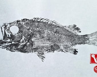 Impresión Gyotaku de pez rojo