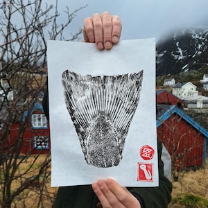 Stampa Gyotaku a coda di merluzzo