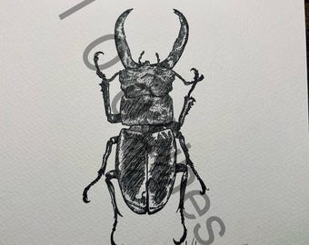 Tinta de escarabajo ciervo - Enmarcada