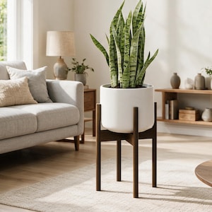 May include: A tall snake plant with variegated green and silver leaves potted in a smooth white cylindrical ceramic planter. The planter is supported by a dark brown wooden stand featuring four straight legs and a cross-shaped base support.