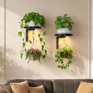 May include: Two black wall-mounted shelves with integrated warm LED lighting. Each shelf supports a potted plant on top and a hanging plant suspended from a hook underneath. The plants feature green foliage and small pink flowers in pots.