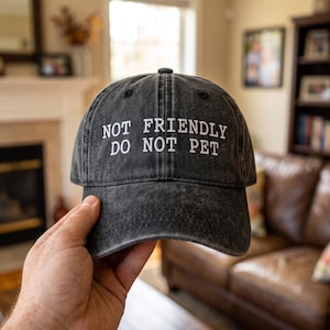 May include: A charcoal gray baseball cap with a distressed, washed finish. The front of the cap features white embroidered text that reads, "NOT FRIENDLY DO NOT PET," arranged in two lines with a clean, sans-serif font style.