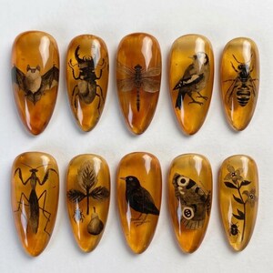 Paznokcie z bursztynowymi skamieniałościami i owadami | Motyw entomologiczny w stylu vintage | Migdałowy motyw Dark Academia | Paznokieć botaniczny z owadami | Przezroczysty paznokieć w kapsułkach