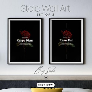 May include: A set of two framed wall art prints featuring a black background with a single red rose. The left print displays the text Carpe Diem and the right print displays the text Amor Fati. Both prints include smaller descriptive text below the main phrases.