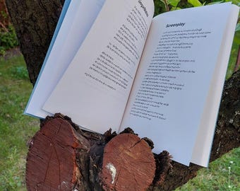 Romanian Poetry Book, Contemporary Poetry Collection, European Literature, Sorin Grecu