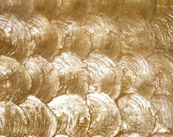 Golden Mother of Pearl Capiz Tile - Iridescent Shell Tile for Wall - Luxury Feature Wall Decor - DIY Home Improvement - Decorative Sheet