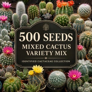 500 Mixed Cactus Seeds, Identified Cactaceae Variety Collection, Indoor Garden