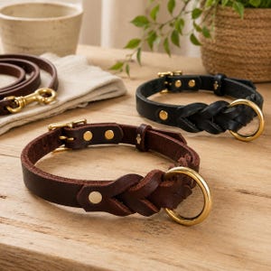 Könnte beinhalten: Zwei Lederhalsbänder mit geflochtenem Design, eines in Dunkelbraun und eines in Schwarz. Jedes Halsband verfügt über eine goldfarbene Metallschnalle, Nieten und einen großen runden Ring zur Befestigung. Eine passende dunkelbraune Lederleine ist sichtbar.