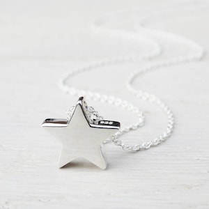Può includere: Una collana d'argento con un ciondolo a forma di stella. La stella è un design semplice a cinque punte.