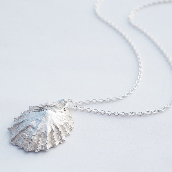 Sterling Silver Limpet Shell Necklace