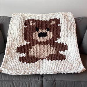 Teddy Bear Chunky Throw Blanket