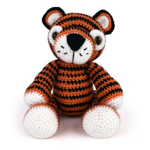 Thomas the Tiger image 6