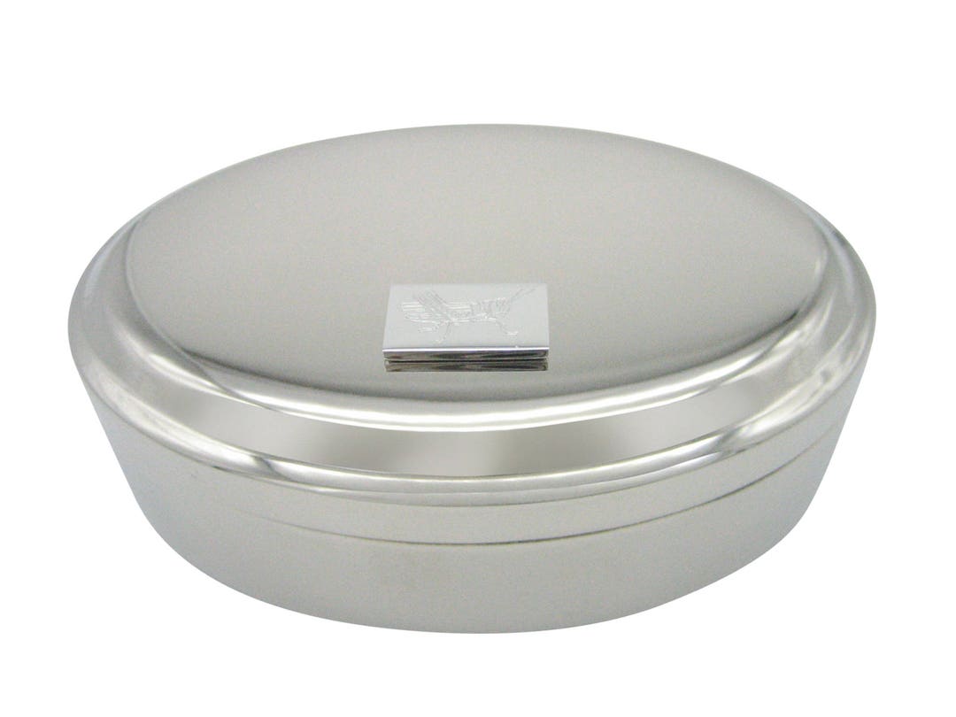 Silver Toned Etched Locust Insect Pendant Oval Trinket