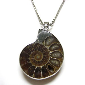 Very Large Ammonite Fossil Pendant Necklace