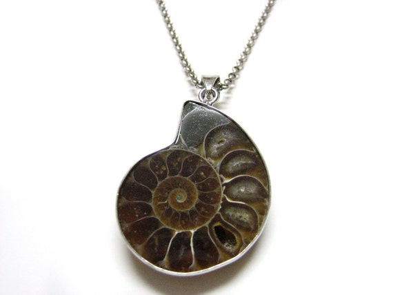 ammonite necklace pendant