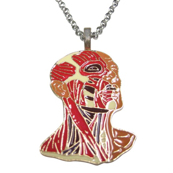 Anatomy Necklace Etsy