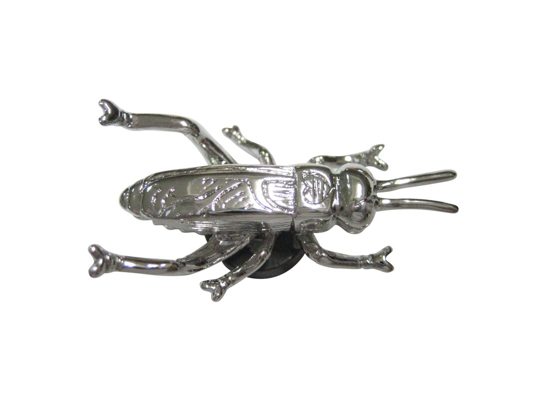 Silver Toned Cricket Bug Insect Etsy