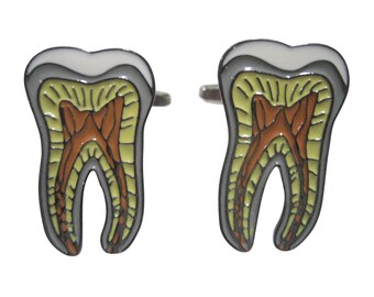 Colorful Detailed Dental Anatomy Tooth Teeth Cufflinks