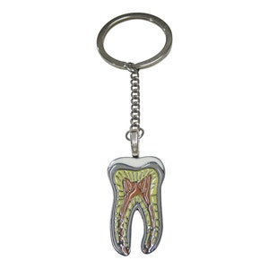 Colorful Detailed Dental Anatomy Tooth Teeth Pendant Keychain