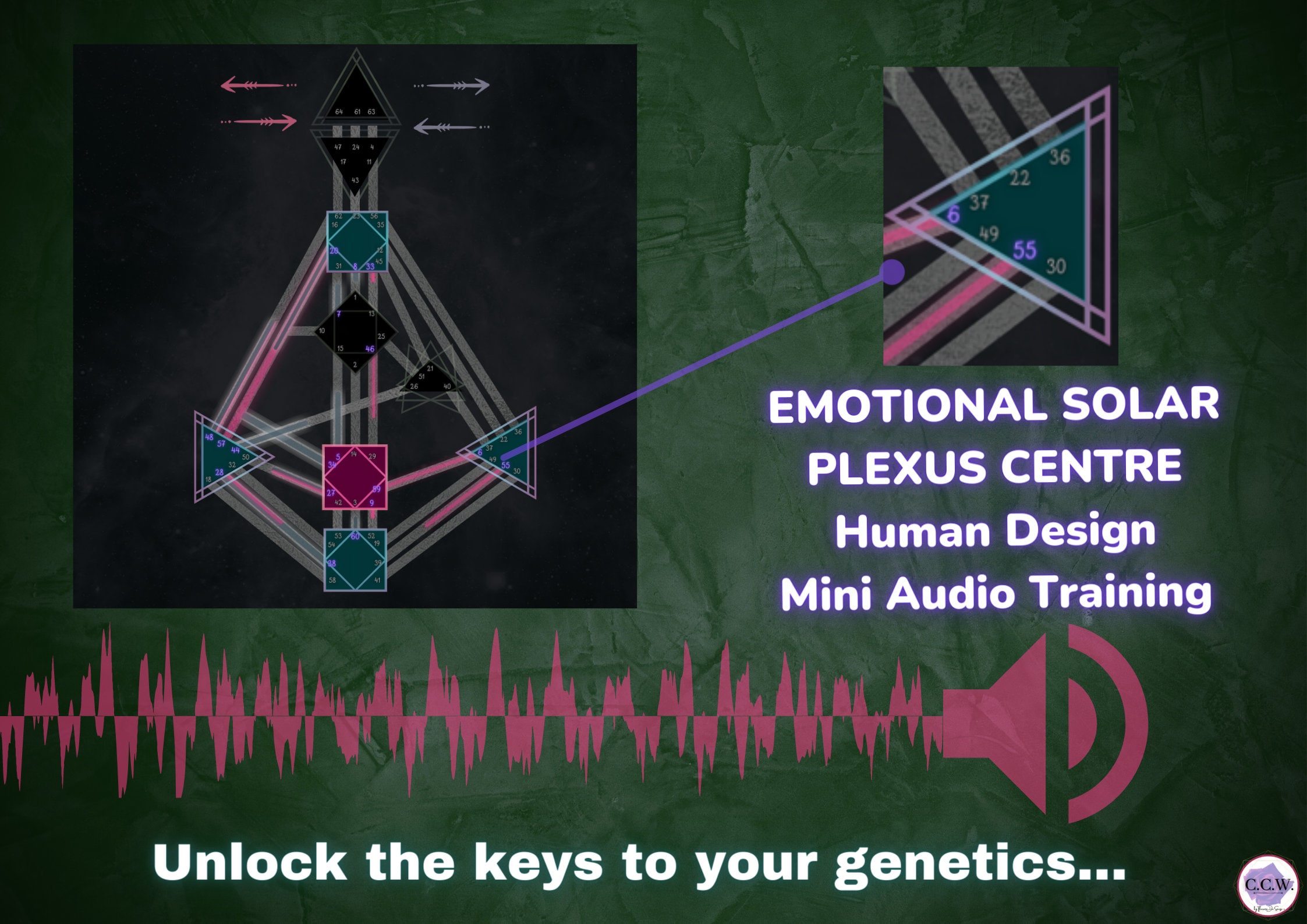 Emotional Solar Plexus Centre Human Design Mini Audio - Etsy
