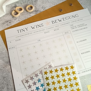May include: A planner with the words "TINY WINS" and "BEWEGUNG" printed on it. Includes star stickers in gold, blue, and purple. Wooden rings and a brown envelope are also visible.