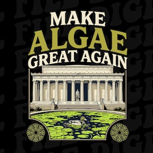 Könnte beinhalten: Eine grafische Illustration mit dem Text MAKE ALGAE GREAT AGAIN in fetter Schrift über einer Darstellung des Lincoln Memorials. Unter dem Denkmal befindet sich ein Teich voller grüner Algen und Seerosen, in dessen Mitte eine Ente schwimmt.