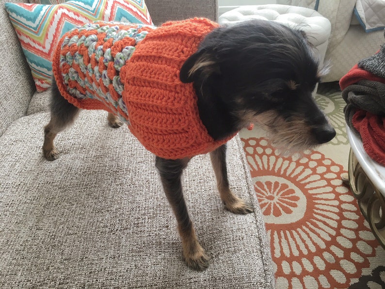 Posh Granny Square Crochet Dog Sweater | Etsy