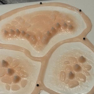 May include: A prosthetic appliance with a flesh-toned appearance, featuring multiple raised, pointed structures. The design is segmented into three interconnected sections, with small, dark beads placed around the perimeter. The overall shape is organic and textured.