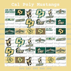以下が含まれることがあります： 様々なデザインのCal Poly Mustangsのロゴとグラフィックのコレクション。ロゴには馬と「CP」の文字が緑、金、白で描かれています。「Cal Poly Mustangs」の文字も含まれています。