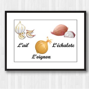 Vegetables,Vegetables in French,Vegetable poster,Vegetables Decor,Kitchen Decor,Kitchen Print,Kitchen Wall Decor,Kitchen Poster,Onion,Garlic